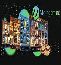 Microgaming Software